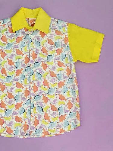 Camisa Dinos Colores