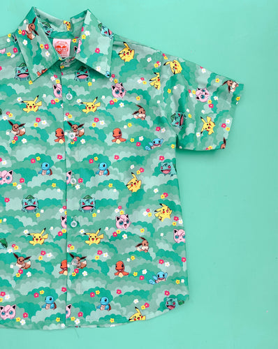 Camisa Poke/Primavera